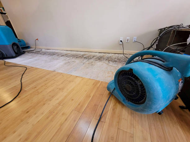 Professional Water Removal technician working in Pinole, CA